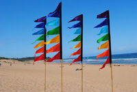 Rainbow-event-flags-on-beacj