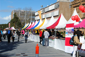 fete stall